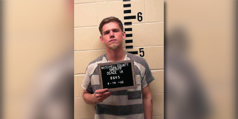 Man Murders Woman He Met in the Park and Mounted Her Head on a Spike