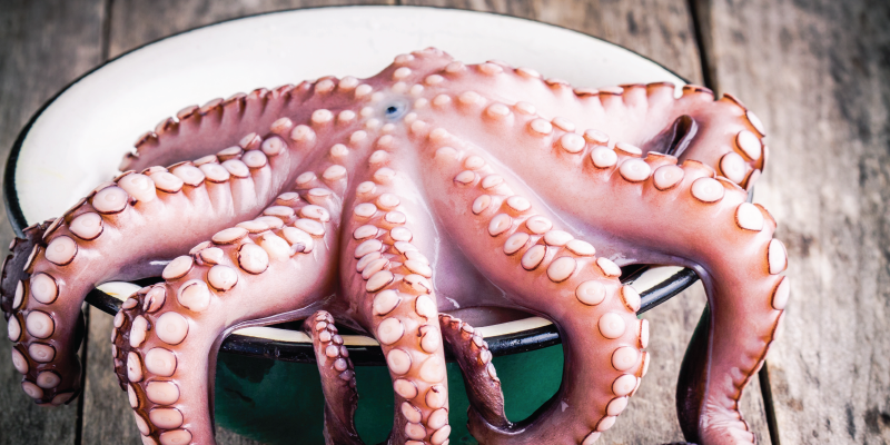 Korean Man Dies Eating ‘Live Octopus’ Dish