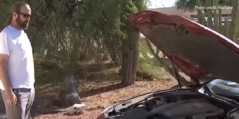 WATCH: Car Owner Shocked to Find His New Hybrid Car Battery Costs More Than the Car