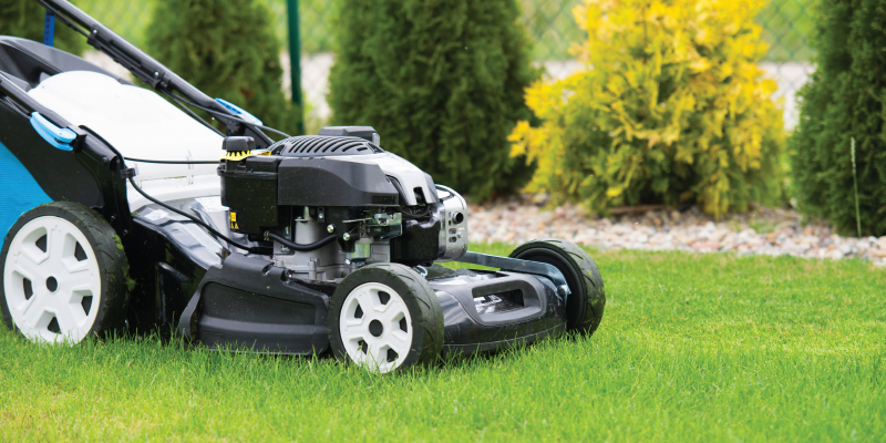 Blue State Dems Want People Caught Using Gas-Powered Gardening Tools Thrown in Jail