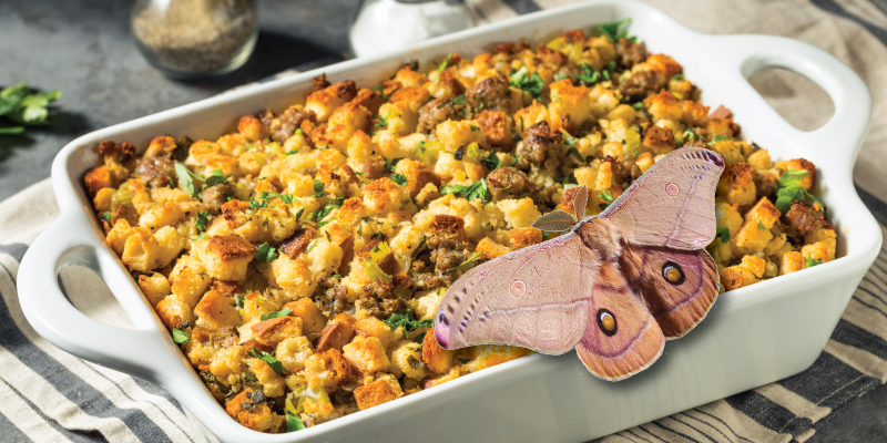 Christmas stuffing mix recalled for containing MOTHS