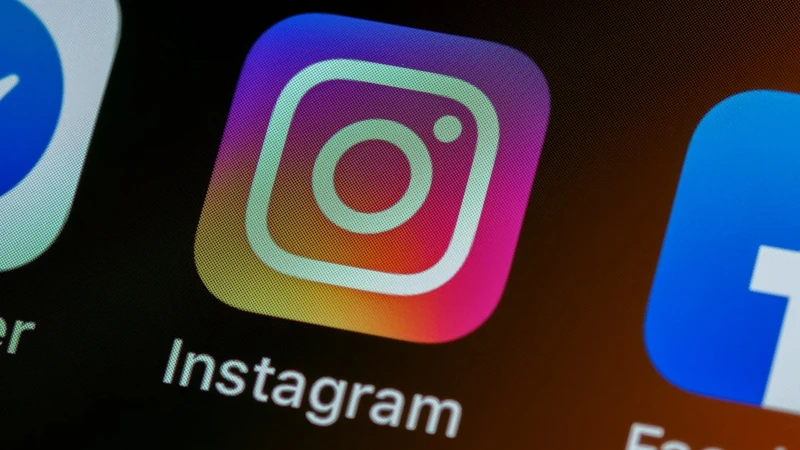 Meta explains why Instagram users received a deluge of password reset emails - amid claims details of 17.5million accounts were leaked