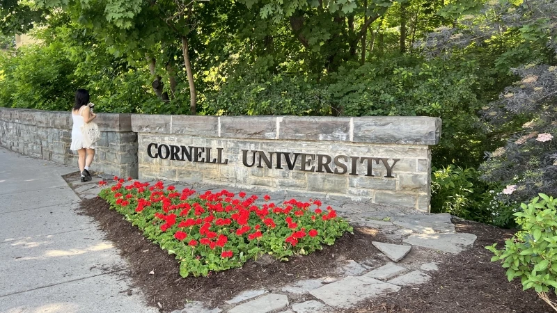 Cornell University bans fraternity parties for the rest of the year after sex abuse lawsuit