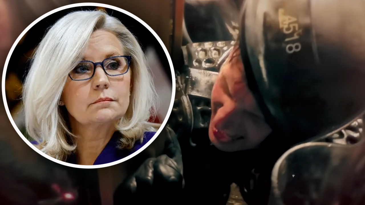 Former House Rep Liz Cheney Goes After Donald Trump In New Hampshire Commercial