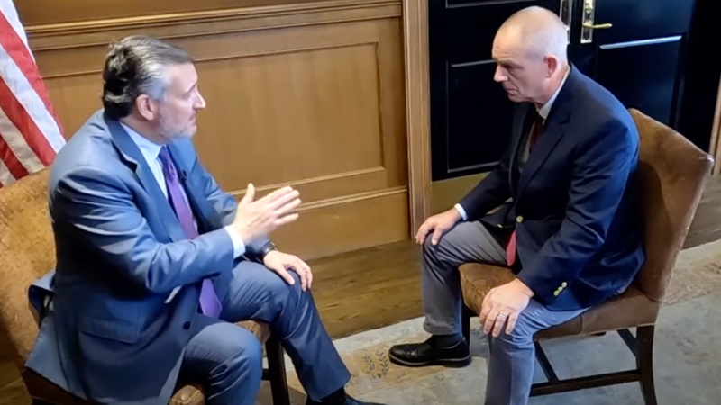 Cruz Control: Senator Ramps Up DHS Critique Amid Border Concerns ...