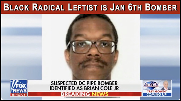 Jan 6th Pipe Bomber Caught!