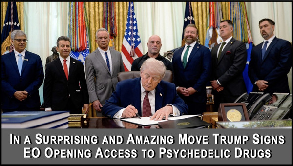 Trump Signs EO to Provide Access to Psycodelic Drugs