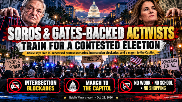 How the Left is Organizing to Protest the Election Results