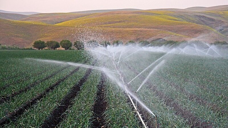 Victor Davis Hanson: The Thinnest Veneer of Civilization | whitaker.tv ...