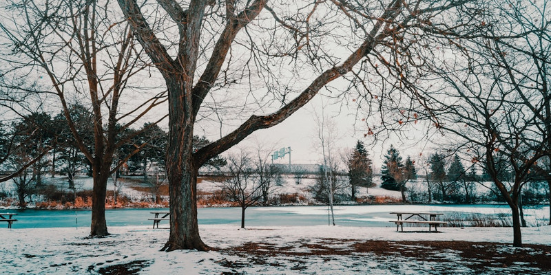 Nation Holds First Annual Freeze-Your-Rights Celebration After Minnesota Becomes Winter Protest Theme Park