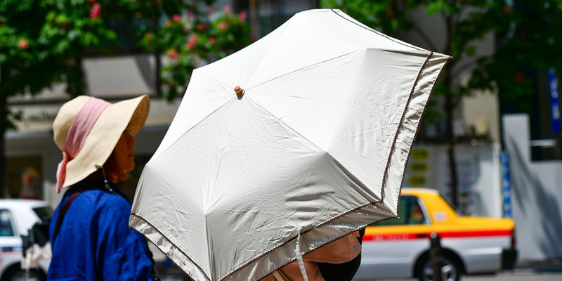 Climate Experts Declare Heat Waves Officially Caused by American Barbecue Grills