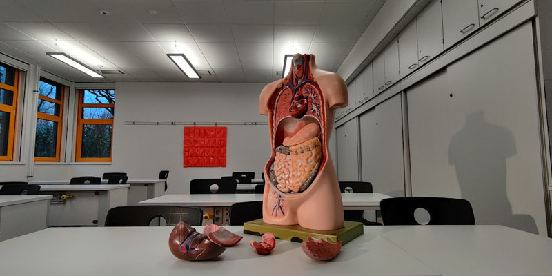 Medical School Introduces New Anatomy: Merit Located Somewhere Behind Feelings