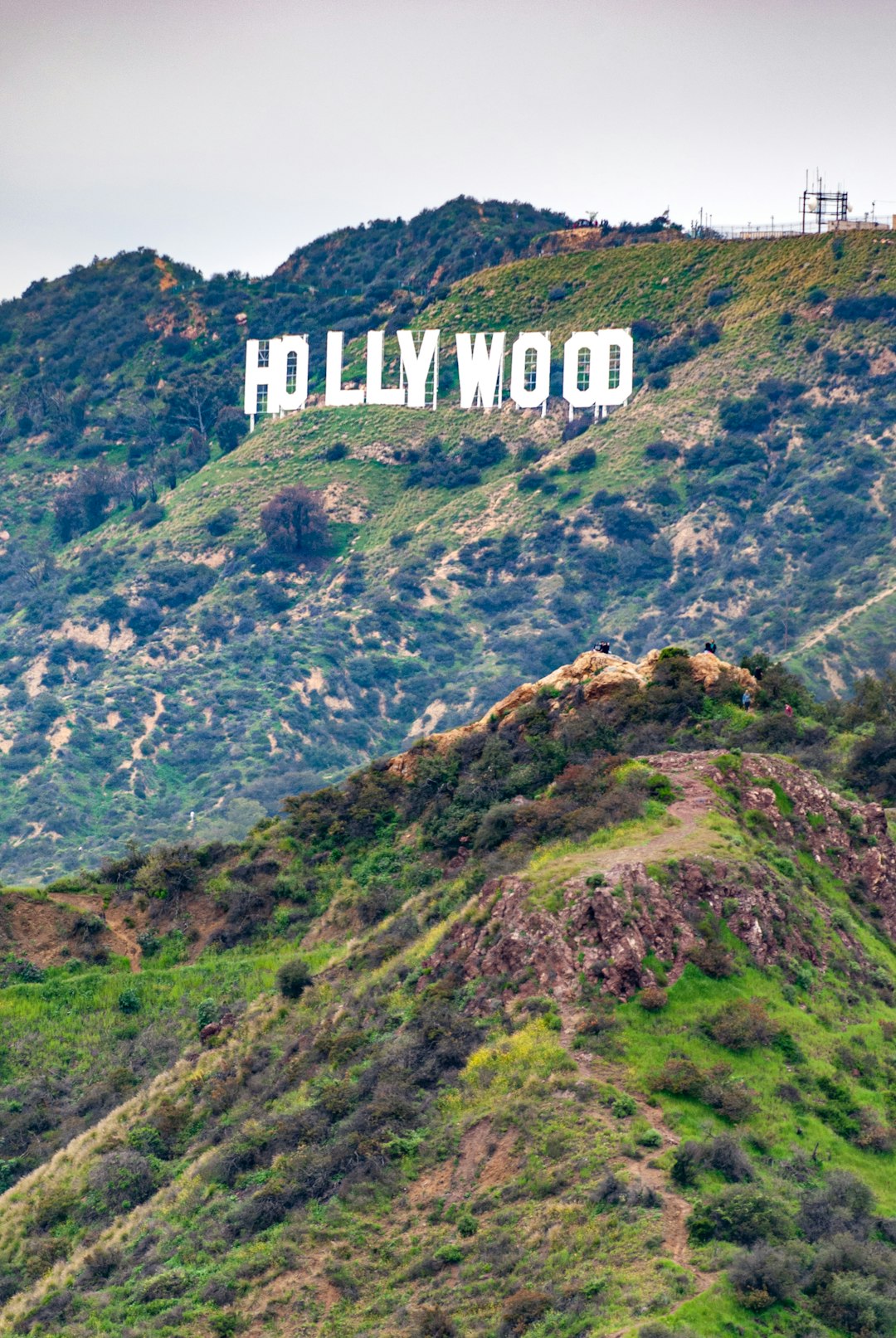 Hollywood Celebrities Announce They've Finally Read Their Own Job Descriptions